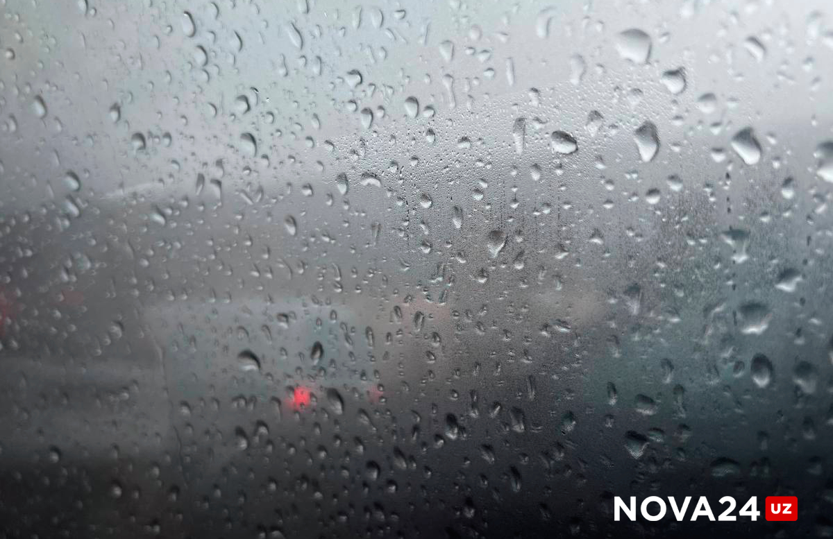 Дождь и туман: Коротко о погоде на 16 февраля