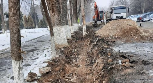 В Ташкенте перекопали дорогу по корням деревьев