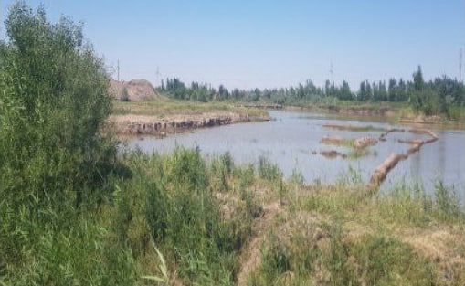 В Хорезме фермер выкопал искусственное озеро и нанес ущерб почти в два миллиарда сумов
