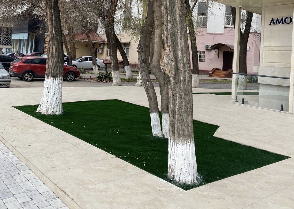 В Ташкенте экологи расправились с искусственным газоном под деревьями