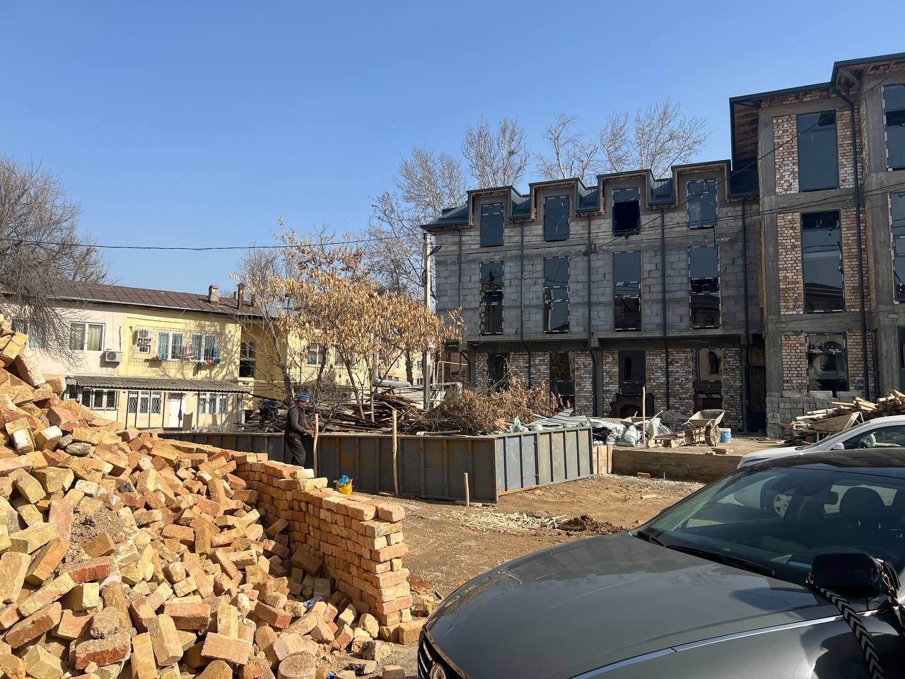 В Ташкенте вырубили десятки деревьев из-за стройки