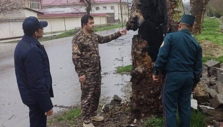 В Ташкенте неизвестные начали поджигать деревья