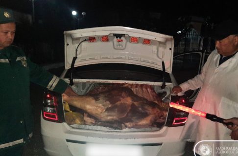 В Самарканд хотели привезти почти тонну тухлого мяса