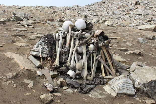 На берегу Чарвака обнаружили человеческие останки — видео 