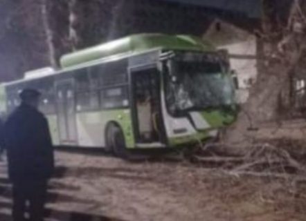 В Ташкенте водитель автобуса уснул за рулем и врезался в дерево