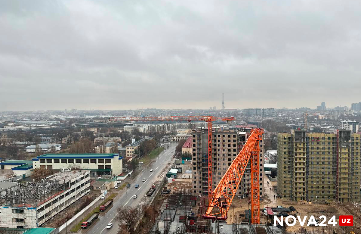 Житель Самарканда хотел снять квартиру в Ташкенте и попался на уловку риэлтора-мошенника