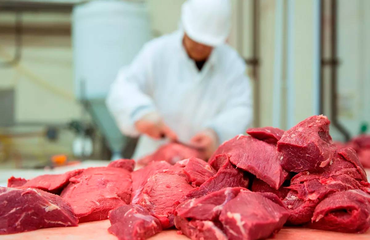 Кыргызстан начнет продавать молоко и мясо в Узбекистан