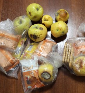 Гнилые яблоки и печеньки: чем кормят детей в школах