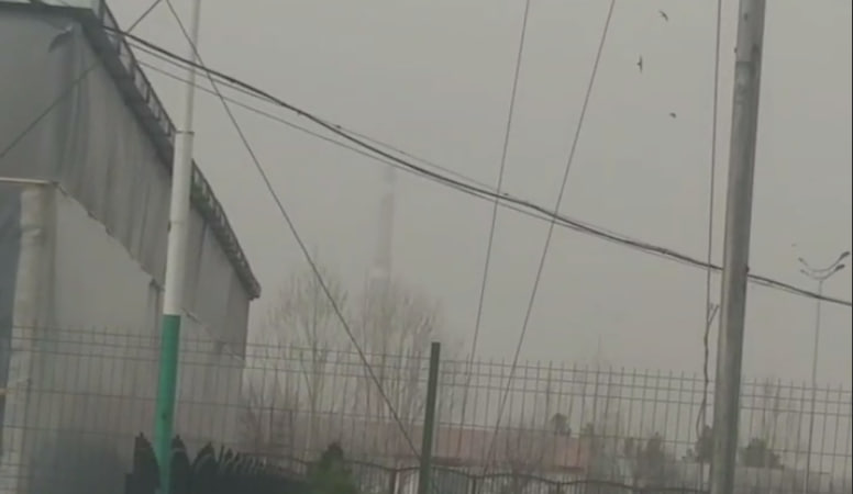 Пыльные бури накрыли некоторые региона Узбекистана