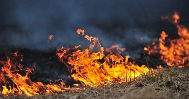В Андижанской области молодая девушка совершила самосожжение