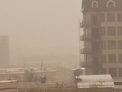 В Ташкенте и Ташобласти поднялся сильный пыльный ветер — видео
