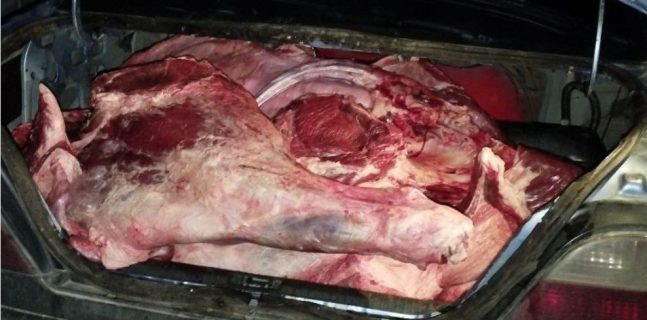 В Коканде пресекли продажу сотен килограмм тухлого мяса