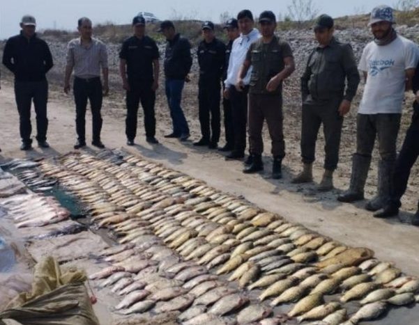 В Сырдарье несколько браконьеров незаконно половили рыбы