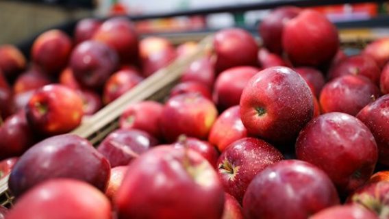 Украина стала крупнейшим поставщиком яблок в Узбекистан