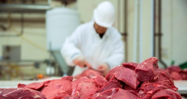 Узбекистан создаст комплекс по переработке мяса в Казахстане
