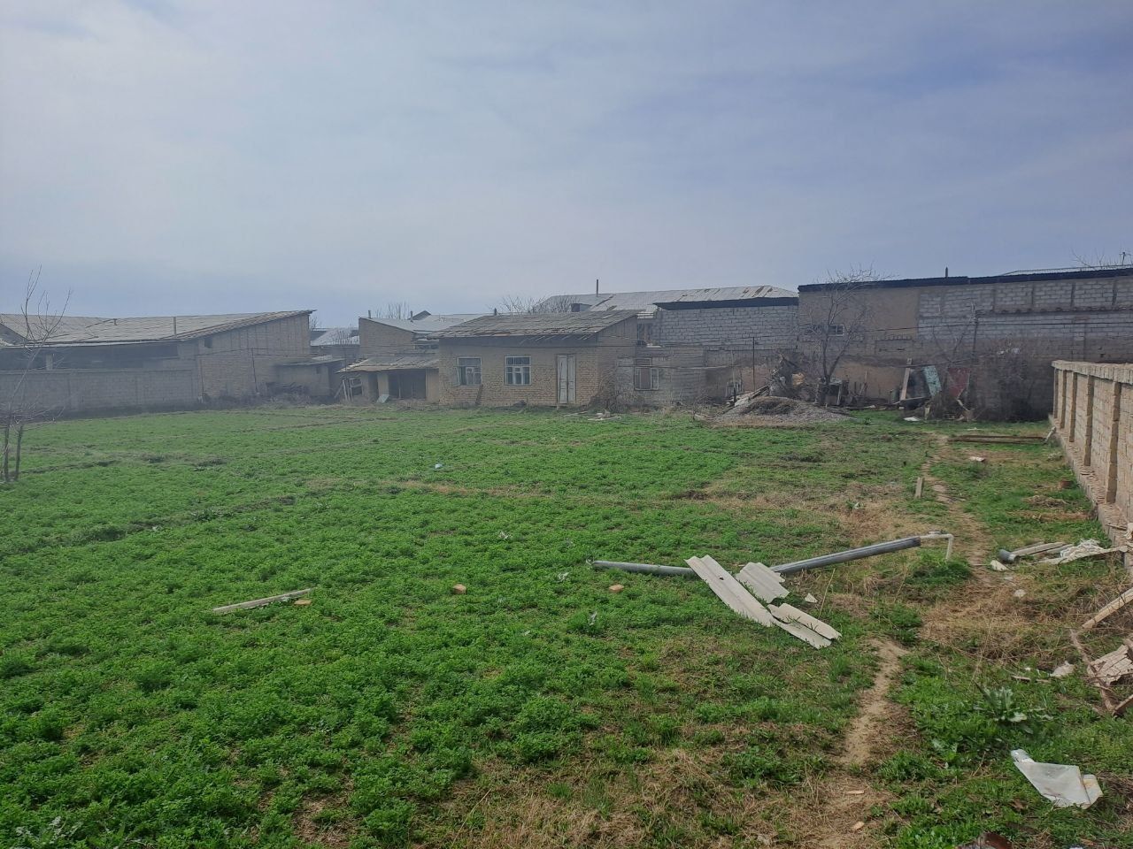 В Ташобласти выявили тысячи нарушений земельного законодательства за год