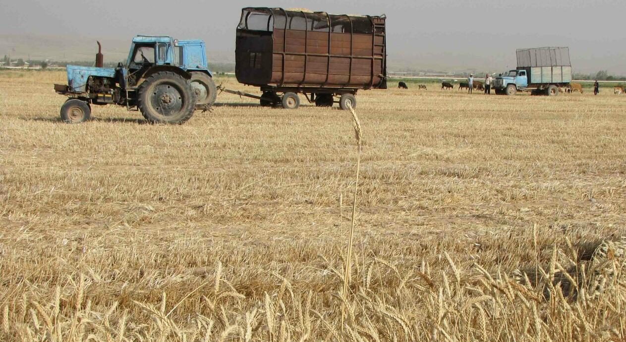 Узбекистану дадут 130 миллионов долларов на реализацию аграрных проектов