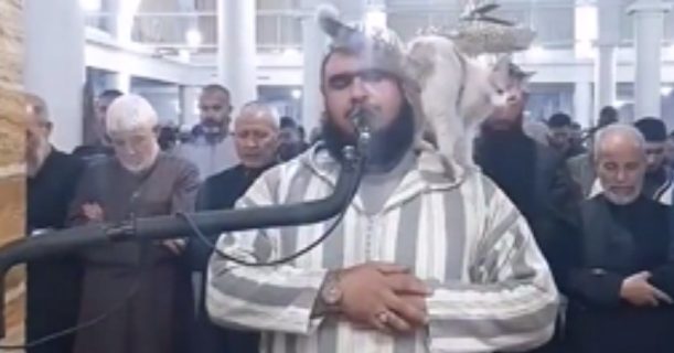 Кот запрыгнул на имама во время молитвы: реакция богослова поразила мир — видео