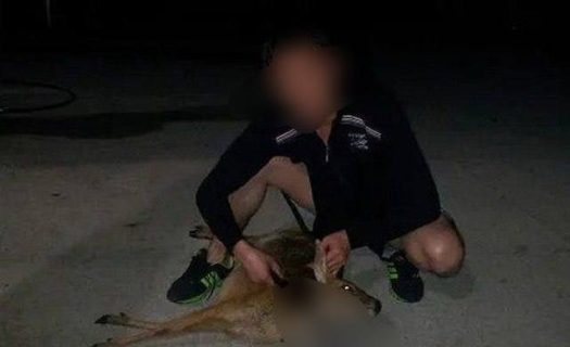 Житель Ферганы похвастался в соцсетях убийством животных