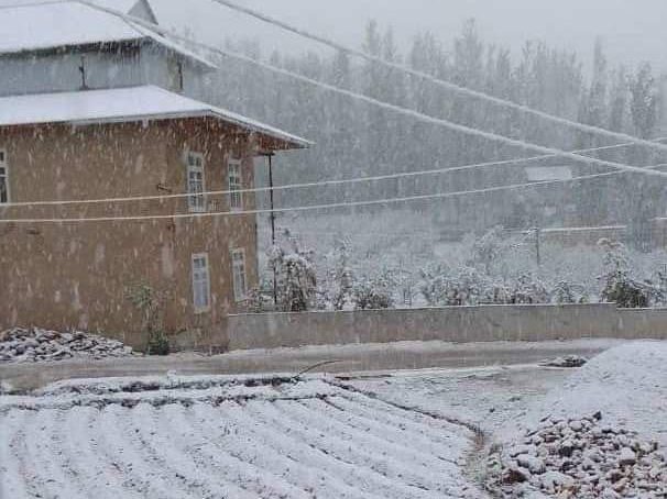 Часть регионов Узбекистана накрыло снегом — видео