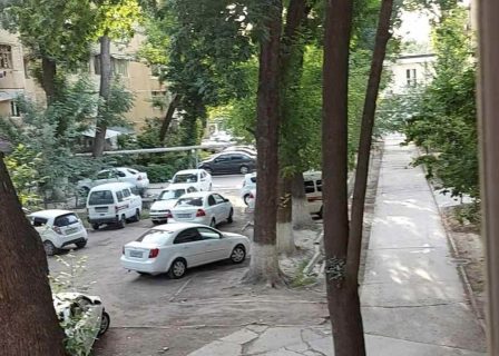 В Ташкенте буйный водитель рассекал по двору жилого дома со спецсигналами — видео