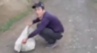 В Джизаке злоумышленник отловил и жестко обращался с дикой лисой — видео