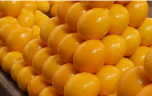 Узбекистан нарастил экспорт лимонов