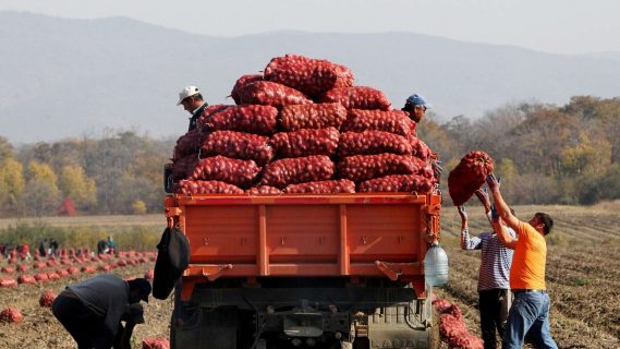 На поддержку сельского хозяйства Узбекистана дадут четверть миллиарда долларов