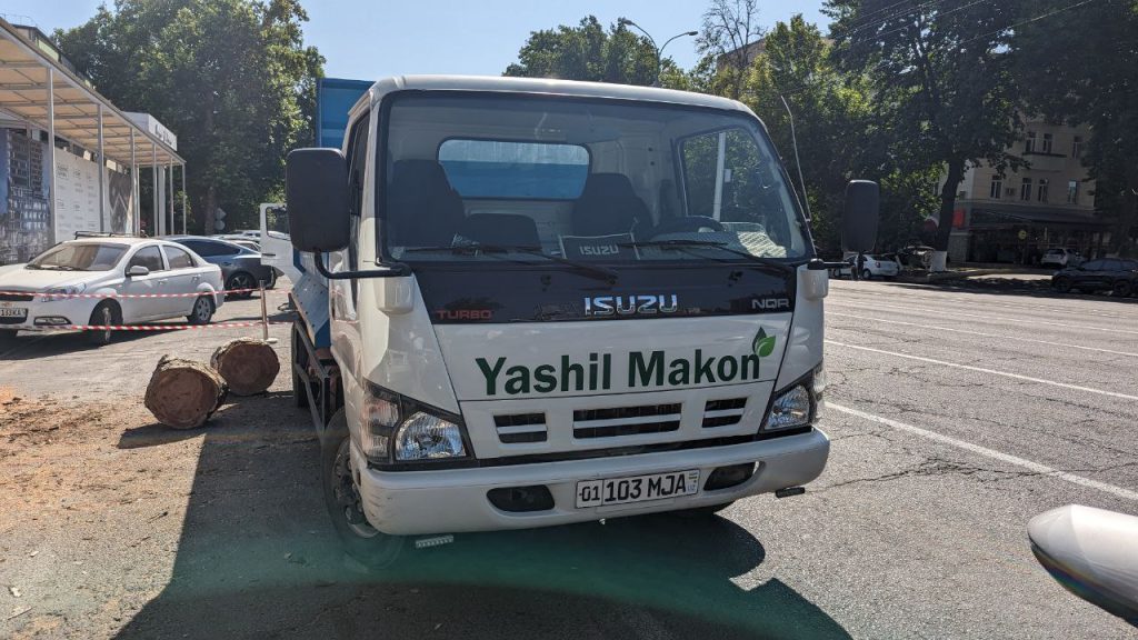 В Ташкенте спиленное дерево погрузили в грузовик «Яшил Макон»