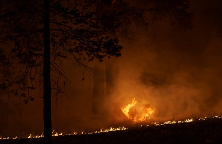 Мирзиёев предложил Казахстану помощь в ликвидации сильнейшего лесного пожара