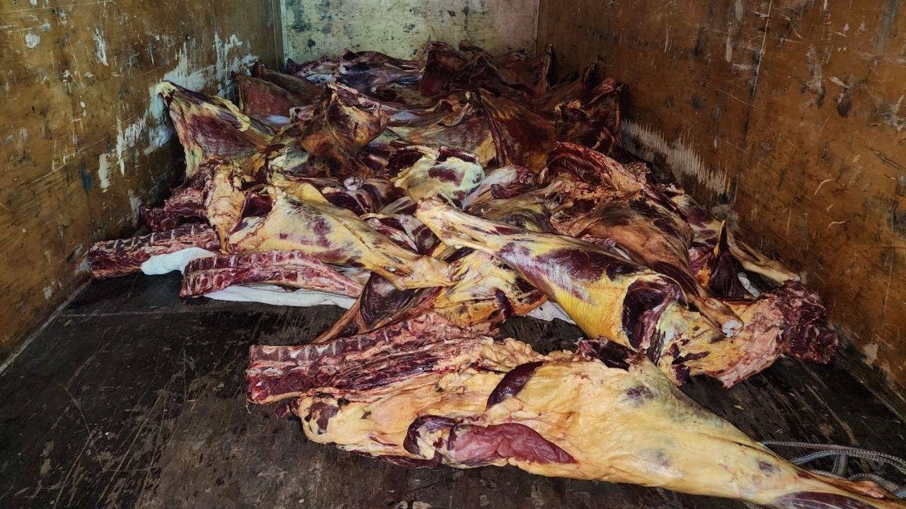 В Ташкенте опять хотели привезти почти тонну неизвестного мяса
