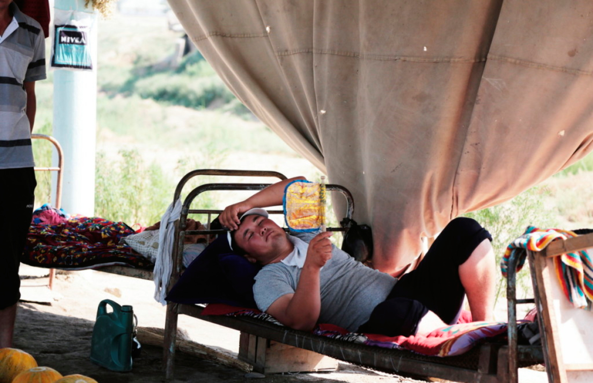 Узбекистанцев ждет жара выше нормы — погода на неделю