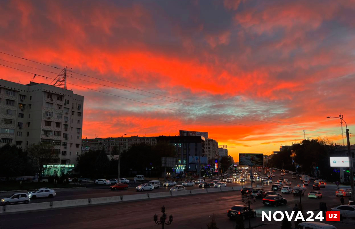 Что тянет экономику Ташкента вверх?