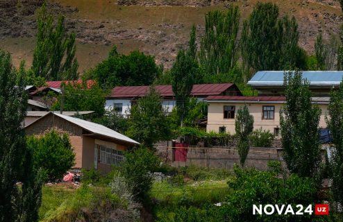 Узбекистанцев начали обманывать на деньги при аренде дачи для отдыха