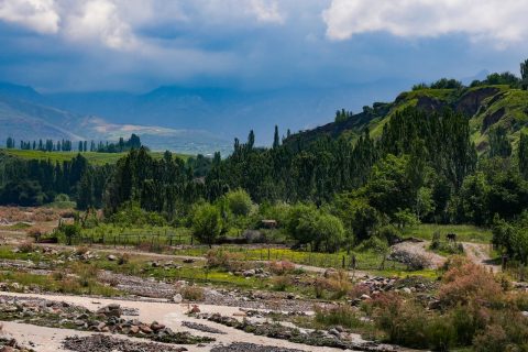 В Узбекистане создадут реестр природного наследия