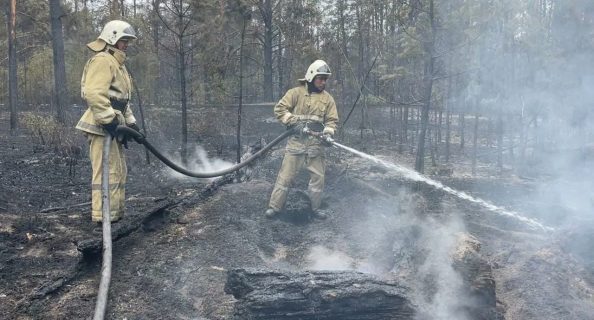 В Казахстане разбушевавшийся пожар унес жизни 14 человек: Мирзиёев выразил соболезнования