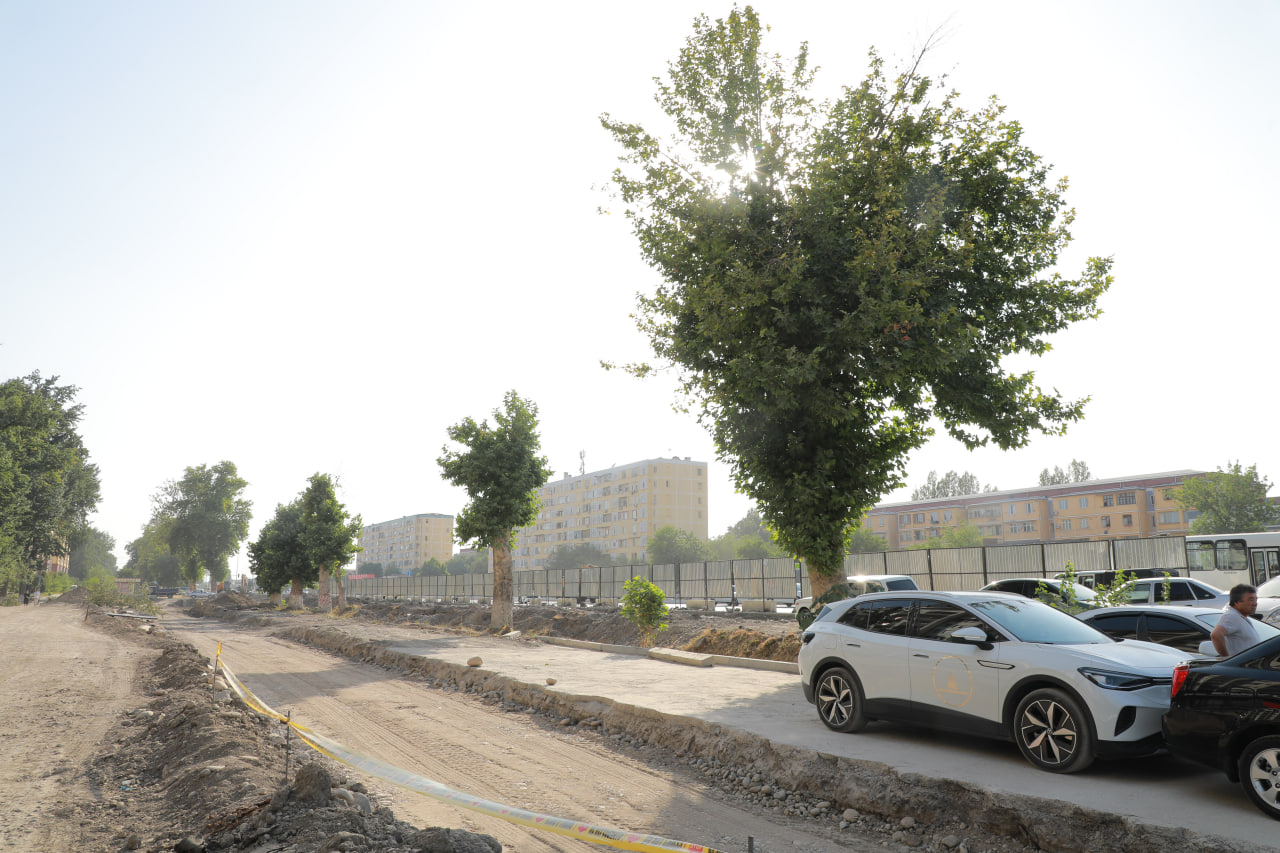В Ташкенте деревья помешали линии метро: с жителям обсудили их пересадку