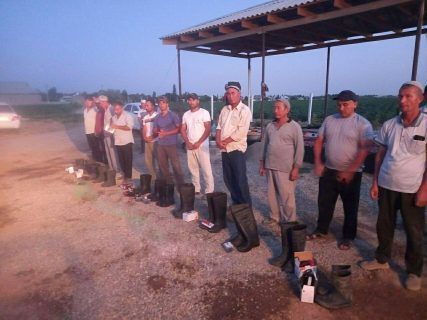 В Сурхандарье прокурор избил сапогом фермера
