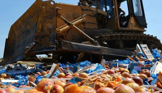 В Узбекистане уничтожили тонну опасных продуктов и сотни тысяч товаров