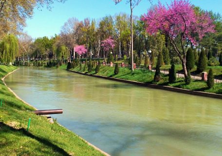 Насколько грязные каналы в Ташкенте — анализ