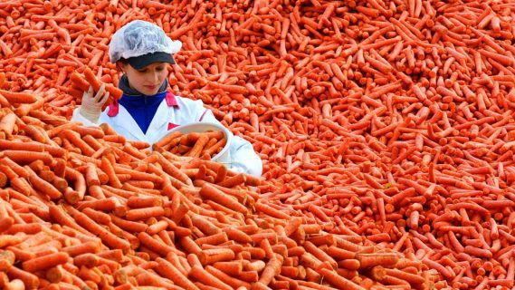 В Узбекистане скакнула цена на морковь