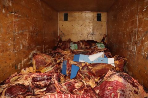 В Ташкент опять хотели привезти тонну тухлого мяса