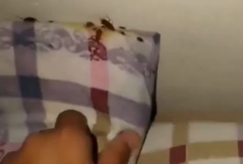 В больнице Карши детям приходилось спать в кишащей тараканами палате — видео