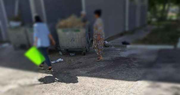 В Ташкенте учителей заставили убирать и озеленять территорию школы