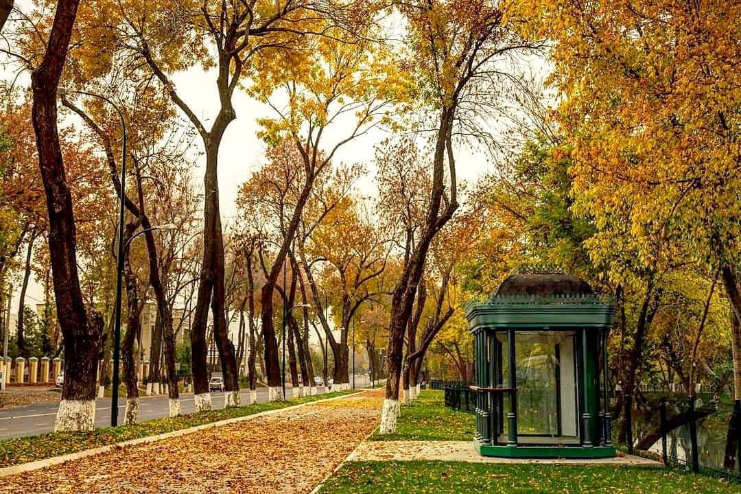 Когда в Узбекистане начинается настоящая осень?