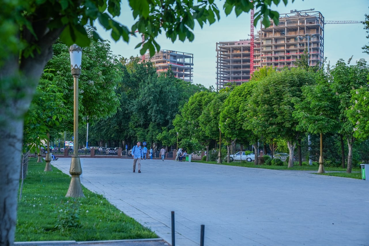 В Ташкенте начали составлять реестр деревьев