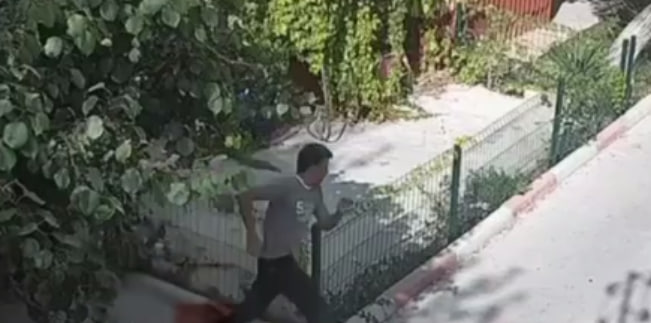 В Ташкенте парень набросился на девушку в подъезде и пытался ее изнасиловать — видео