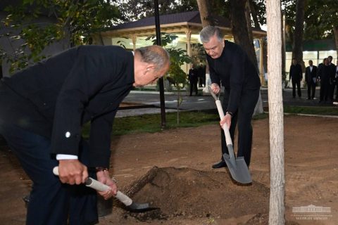 Президент дал старт осеннему сезону посадки деревьев