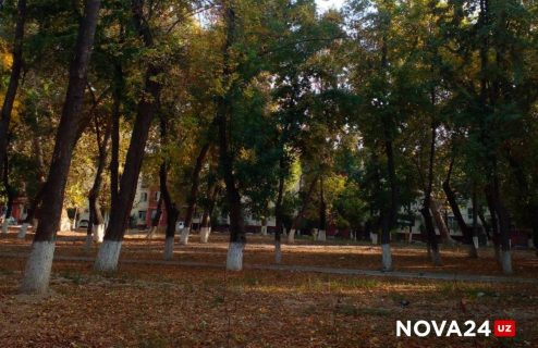 «Застройщик творит беспредел»: в Ташкенте вновь хотят построить новостройку против желания жителей