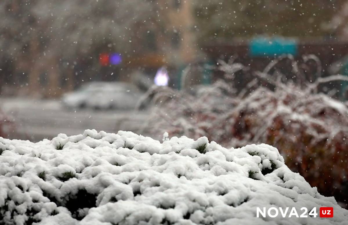 Мороз со снегом: в Узбекистане резко испортится погода